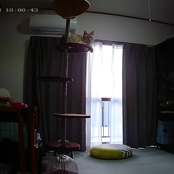 Ad5b57e8 1a2f 4953 80b0 d74cb6db219d 1590657001350