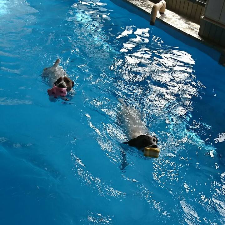 Ad5b7bb4 0068 4636 9943 0008e0398f15 1541559558203