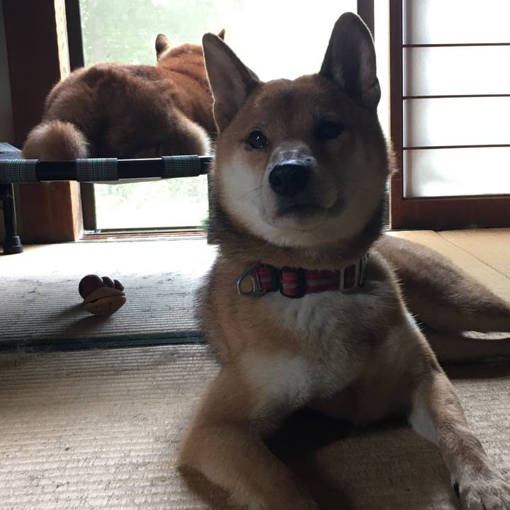 Ad5bb57f caf1 40ff 8ade 98596b801933 1600765411349