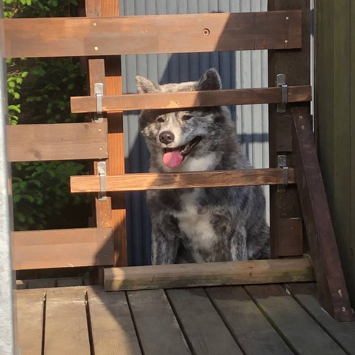 Ad5bd7c3 a5af 48b5 a912 4692112eaa6c 1588415623118