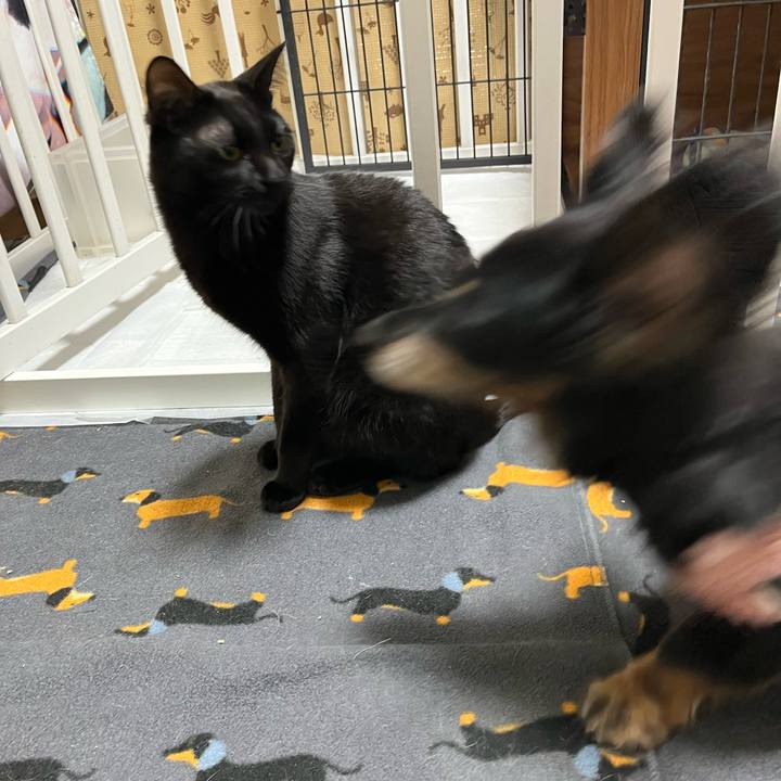 Ad5bee0b e231 40f9 b672 5ab33bda9d37 1764523006856