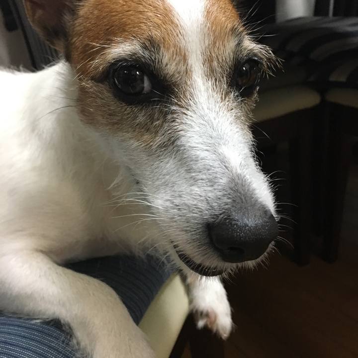 Ad5c0198 2332 4add 9408 7679457ed4f7 1567049610092