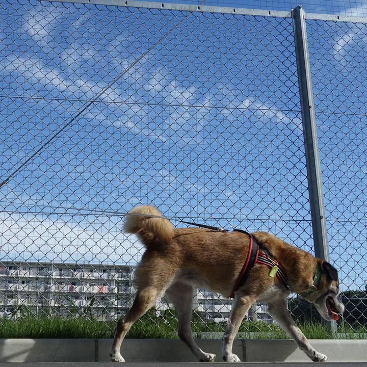 Ad5c2d7b 6554 41dc 951f b9410e732ff7 1537147365005