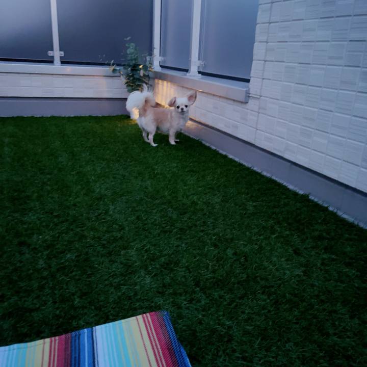 Ad5c410b 6701 4191 bfa6 77cce1d2d950 1687176245428