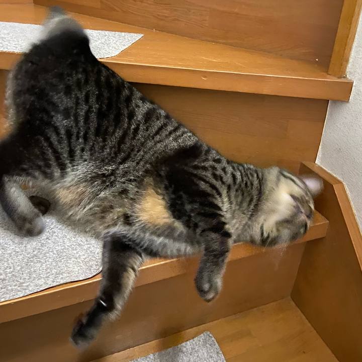 Ad5c7472 9d68 4ce7 9066 a46e54f75d77 1699616735321