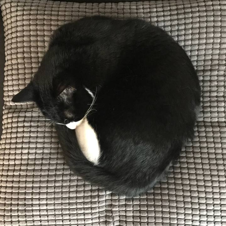 Ad5c7de8 7272 4c79 b480 c530d176fcb3 1524965067843