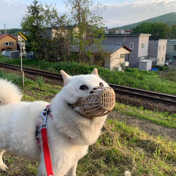 Ad5c7eab af21 4a06 8ffb bc0b1061fc19 1590265763512