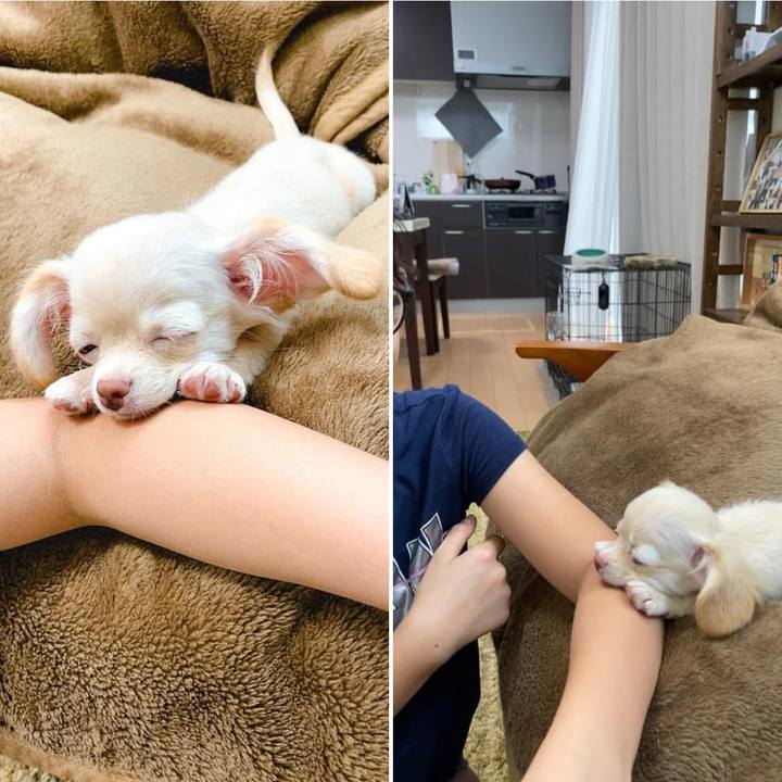 Ad5cb65e 51c4 4ec5 8279 86ca19c28f25 1748419159643