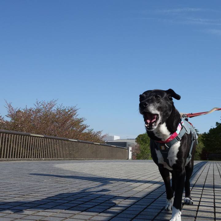 Ad5cc4f1 fab9 4878 a840 12266e9dab10 1744677212078