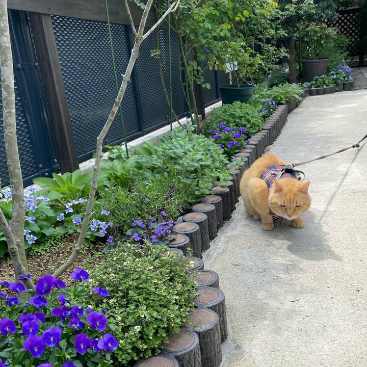 Ad5cc8d5 dd5d 4351 bd72 b08ea3a598c8 1650859672160