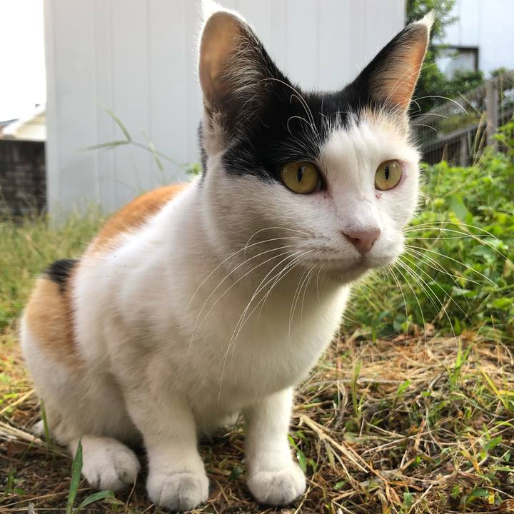 Ad5cd621 7695 4564 9472 f5b31499b18a 1600726435061