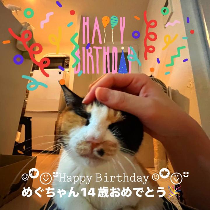 Ad5ced93 5040 4c74 8fd6 3f68d05b19e4 1757395161453