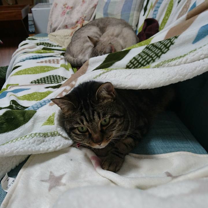 Ad5d3d22 e88f 4122 ad73 1780b2230d77 1580041522363