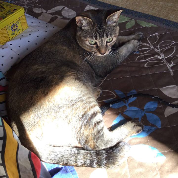 Ad5d9371 1df1 4202 a0de 57ce8d165456 1588846084405