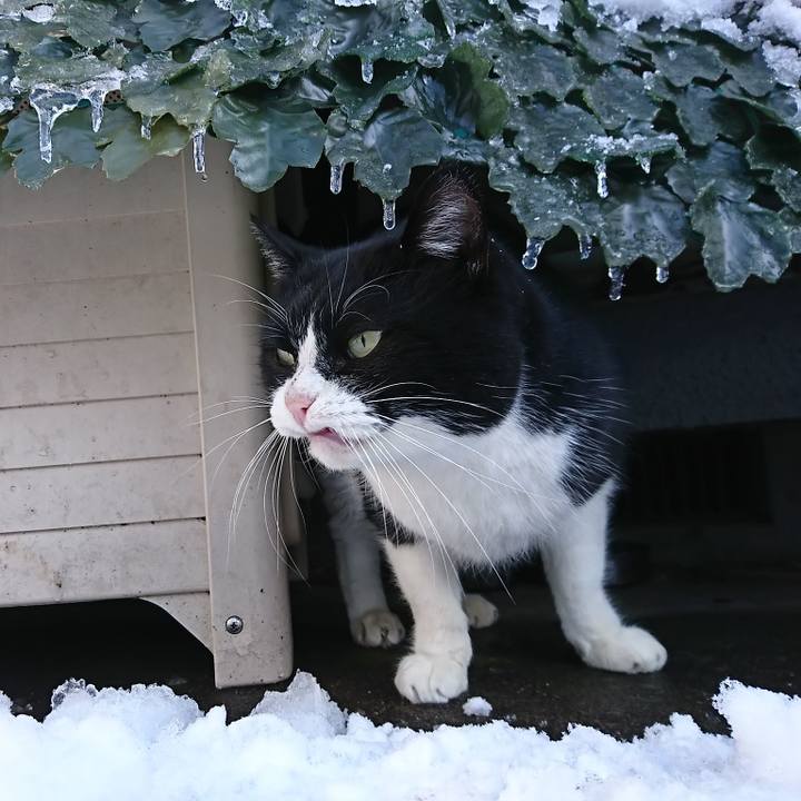 Ad5da8c6 cf49 4922 a0b2 1ea51e3c87d5 1601898857979