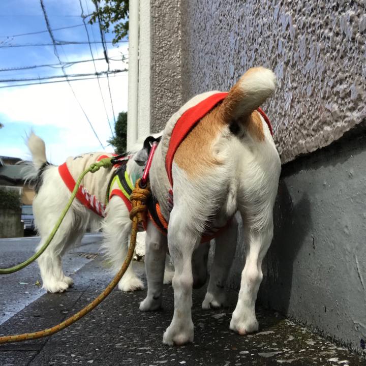 Ad5dc17d 4abe 4e80 85d1 7c9afaf24272 1538267369191