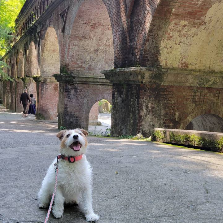 Ad5dc37e 9452 4c13 acfe 20e99b53dc69 1717221424723