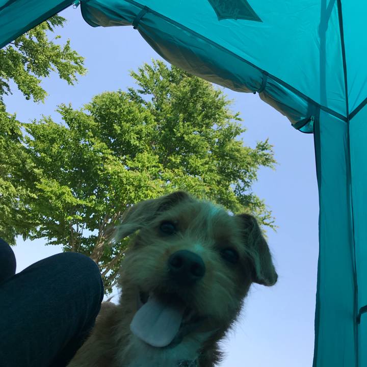 Ad5dd53c c2f5 45a7 84e0 2f76868c400f 1528000973659