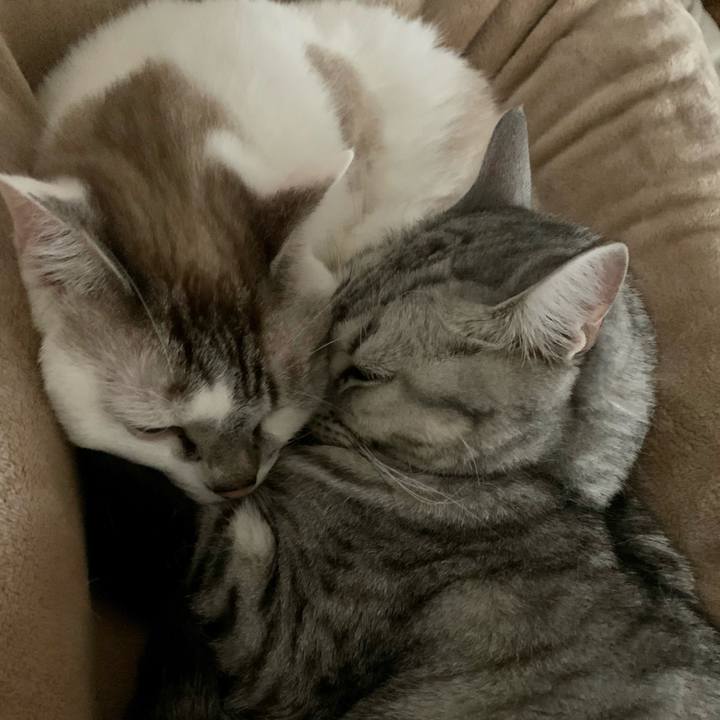 Ad5e10a1 9815 4a6e 8bd6 93345bb3ec86 1634686072545