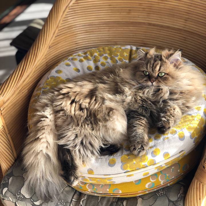 Ad5e122e d6e7 46ef bfad 64e176f6a4fd 1576203103727