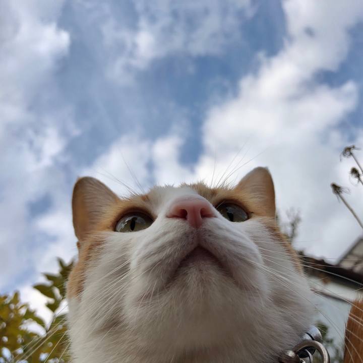 Ad5e3ec5 98fb 480e 987c 3bf26d598c9d 1543370752683