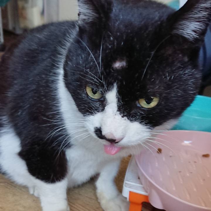 Ad5e6905 8090 4363 bc7f 672153ebf2a6 1645500769646