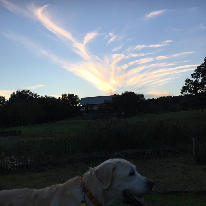 Ad5e9808 4c10 4881 8e28 7fe3aedc4914 1540284901910