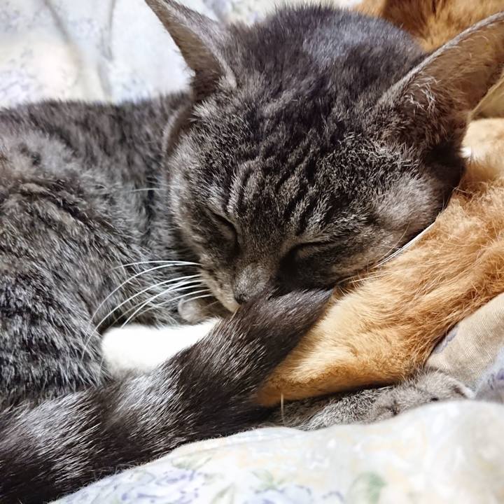 Ad5e9901 a03e 4ba4 869f bef9ed8e107b 1575641134043