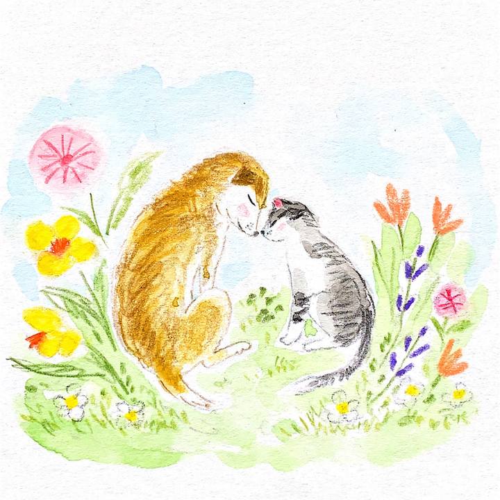 Ad5eac3c a9d9 4335 91fc 5cde4df60fdf 1677371794520