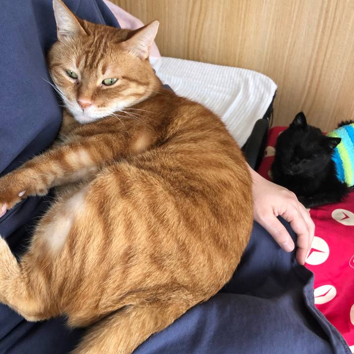 Ad5f089f 4fc1 452e a919 da79020319af 1647126342510