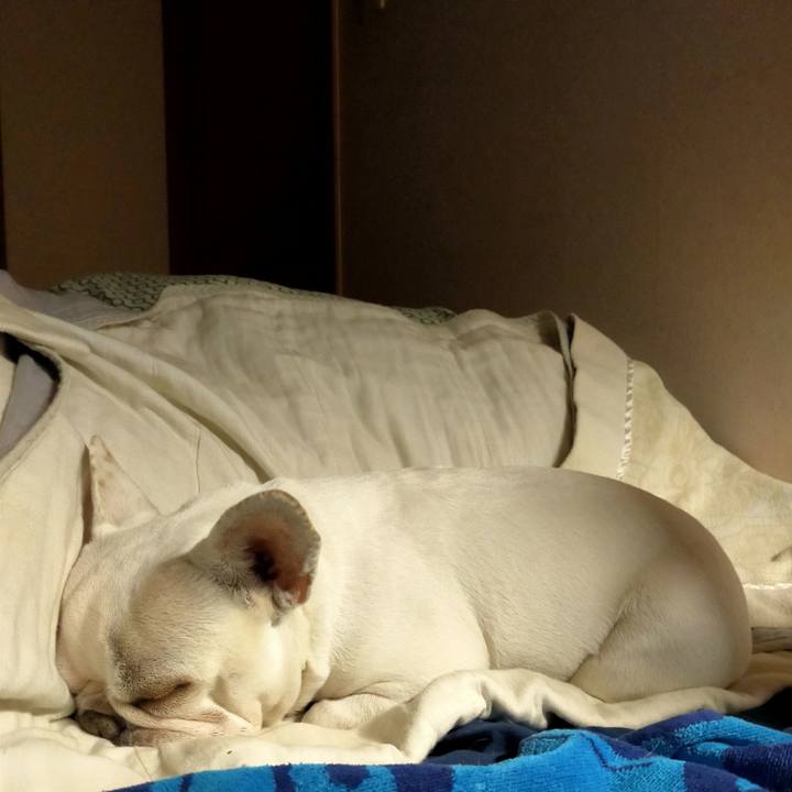 Ad5f1142 9fb2 45b1 b204 337d4eb38b53 1649193793919