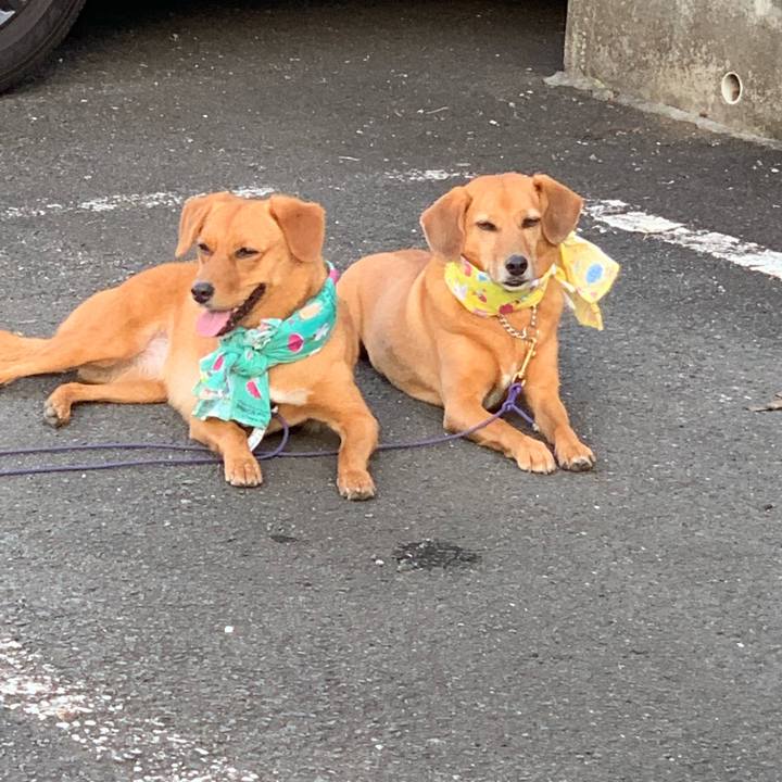 Ad5f583f c127 4ad2 bdfb f104f5ce25d3 1565954049433