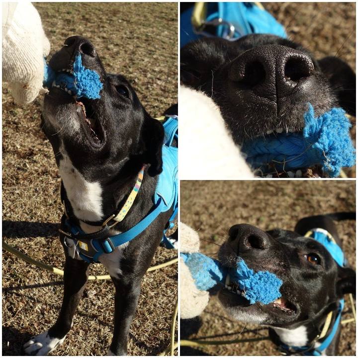 Ad5f7c5c 226f 4ebf af59 5fa2345d35f5 1614732094827