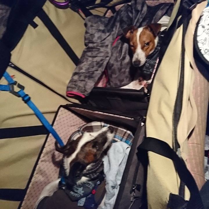 Ad5fb4c5 f977 4de5 8310 b9c66ea2d26b 1543058584674