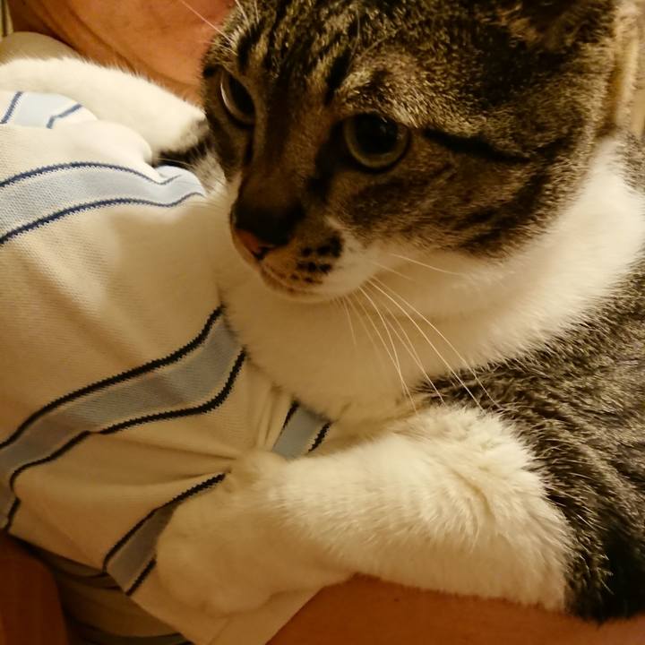 Ad5fd6c5 2859 4640 8e4a bb7edd437684 1526779361930