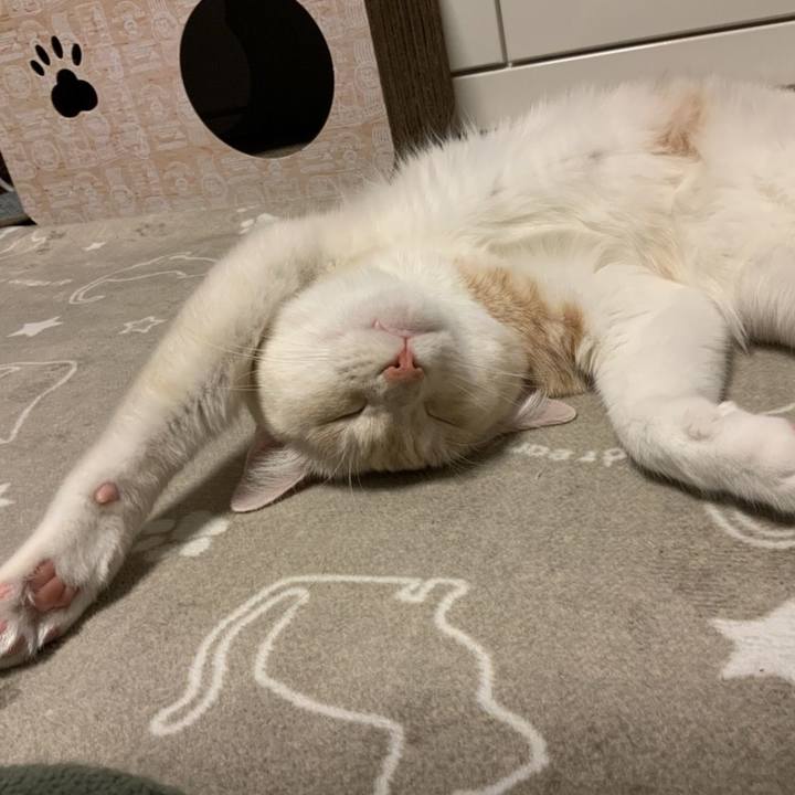 Ad5fd832 f7f5 4272 b859 6643b0d46c6c 1666787962146