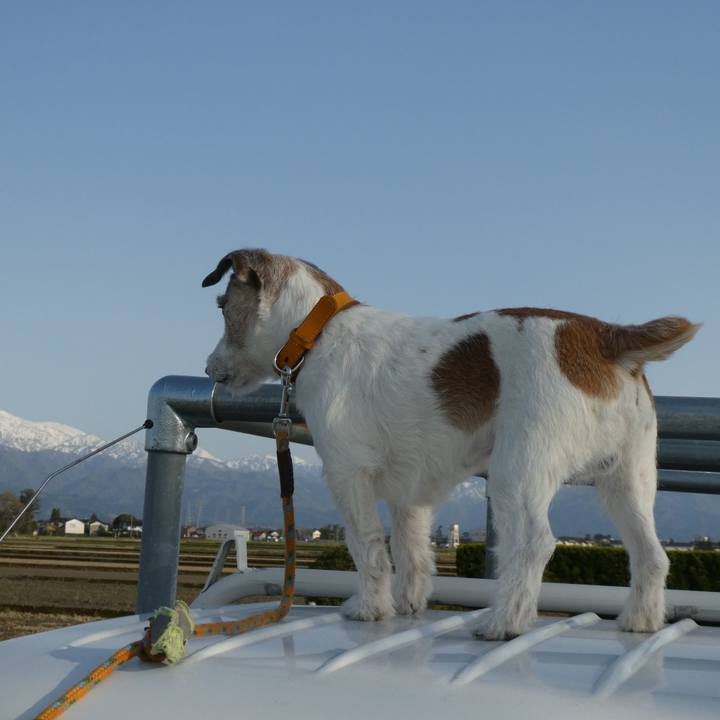 Ad600eeb c109 4417 b537 b1faddea2945 1588245915491