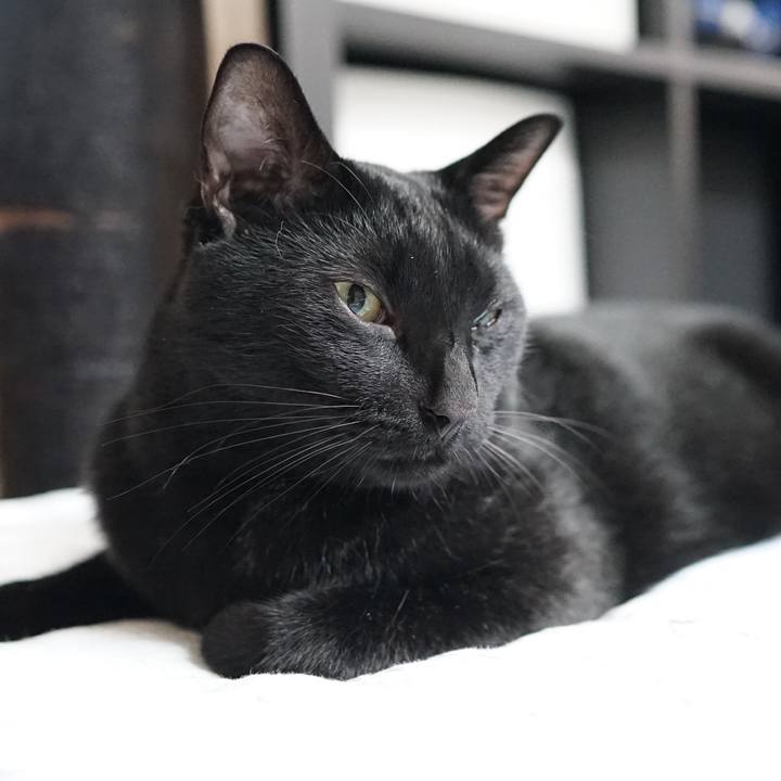 Ad602ab4 455f 4e9e 8d08 64b0e5ffadfa 1563319843244