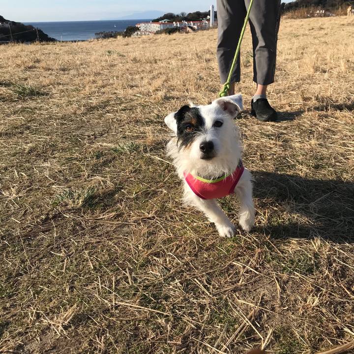 Ad6046a8 5b54 4850 ab62 8e07cb03c8af 1515284983281