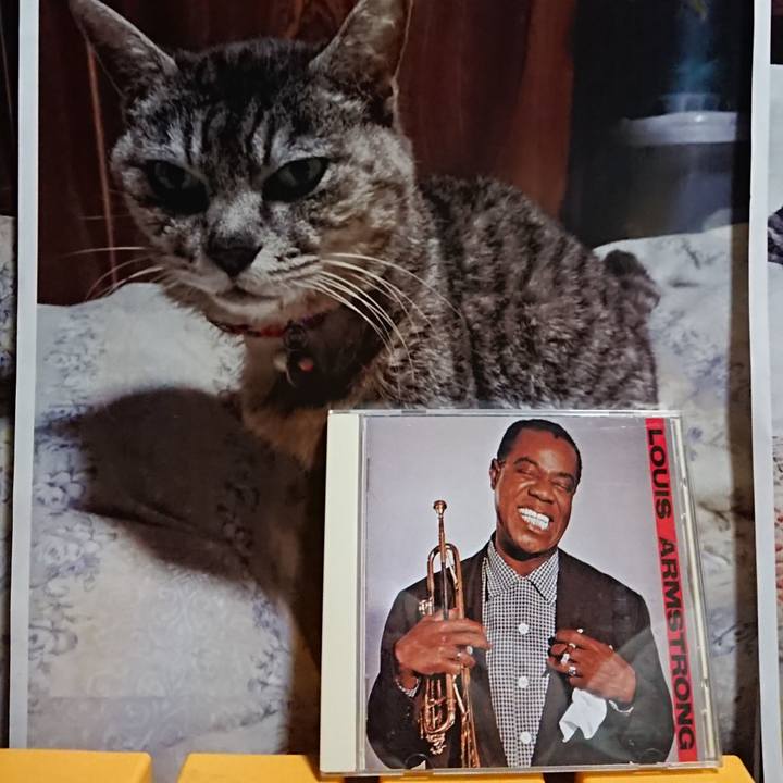 Ad604d54 c2e6 4369 95e3 263b8b241e8b 1614250987105