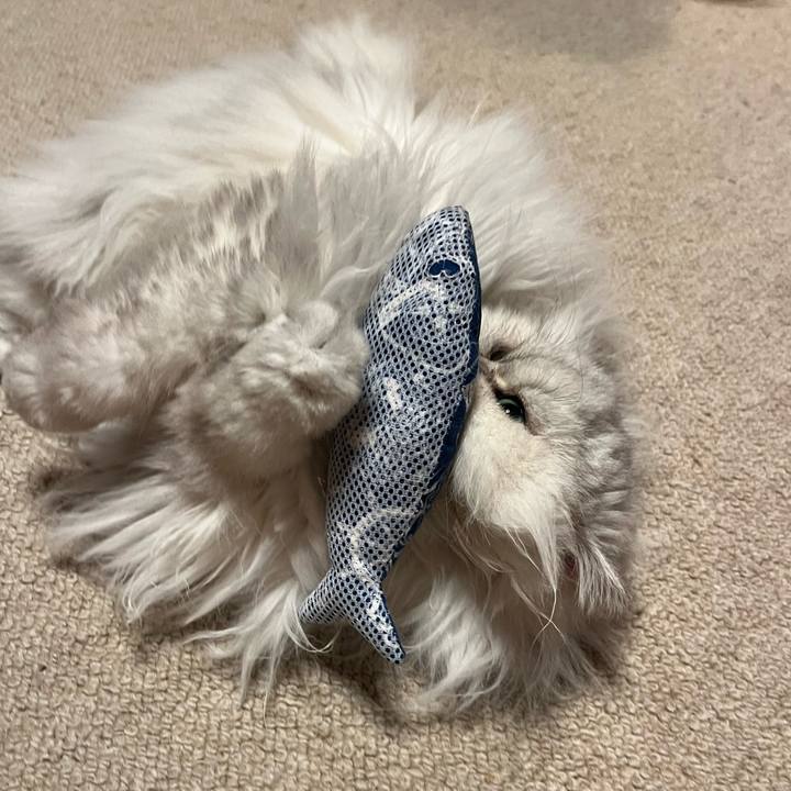 Ad605d66 7923 47db af9b ffe66db0d5be 1742992408676