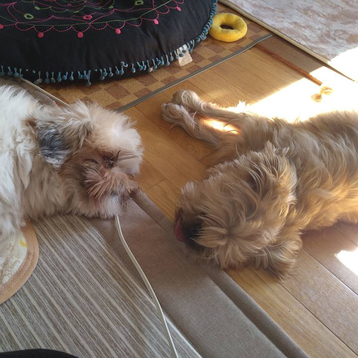 Ad609009 6f31 403c afea a5c3c71d895b 1605072664850