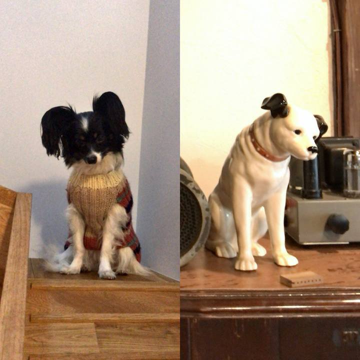 Ad60bb54 edb2 4b85 a8d4 647f4cf9bb85 1512442802478