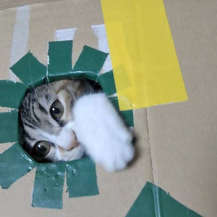 Ad60d66e a96f 48b9 ab72 e59eee442fa2 1628820651103