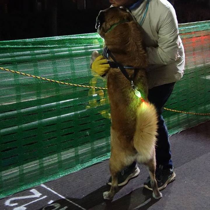 Ad612972 fcd4 4f01 92a2 e49a05061b08 1520596738183