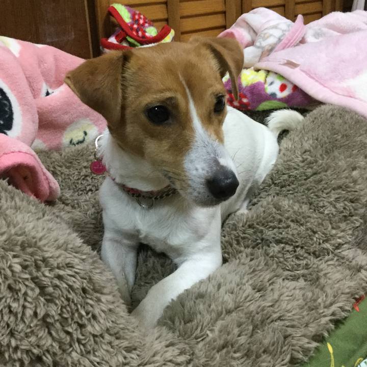 Ad614338 9530 4d57 b84c 62ed0720b8c3 1517054135306