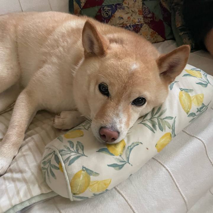 Ad614dfb 084e 4530 a218 ad4099fec25b 1686440398431