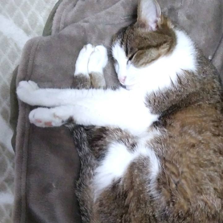 Ad6160c4 fbcf 4462 9329 953098f67bc8 1552216177977