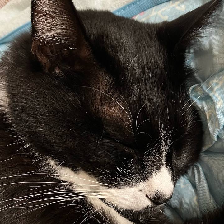 Ad6173d8 f823 47c7 a0dc ec51c49ac71f 1764996852033