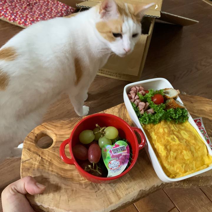 Ad61bc14 15c0 4002 b3df 58c0d75e7720 1649886643211